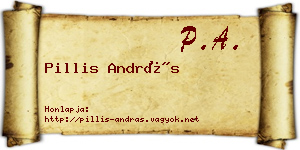 Pillis András névjegykártya